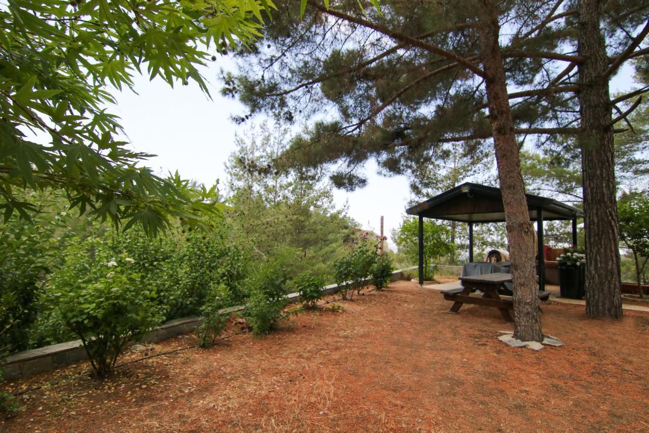 Phaedrus Living: Forest View Luxury Villa Chantara Foini Εξωτερικό φωτογραφία